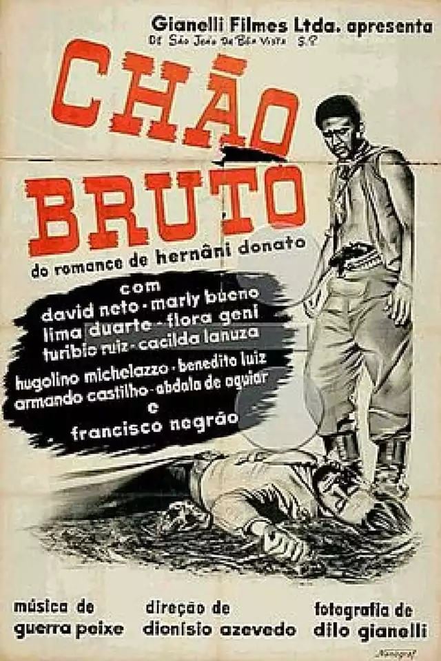 movie vertical poster fallback