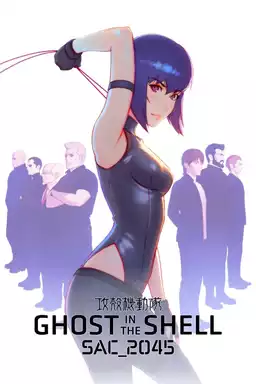 Ghost in the Shell: SAC_2045