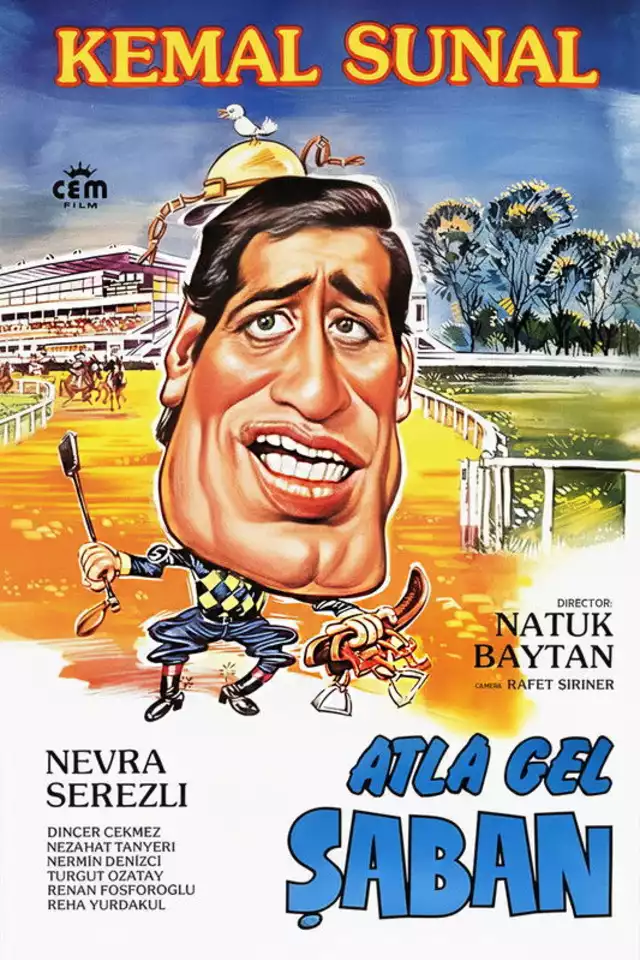 movie vertical poster fallback