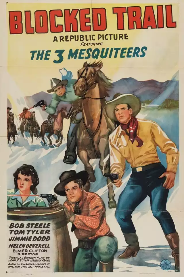 movie vertical poster fallback