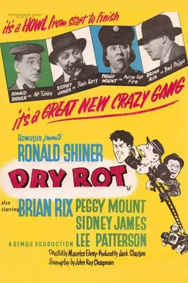 movie vertical poster fallback