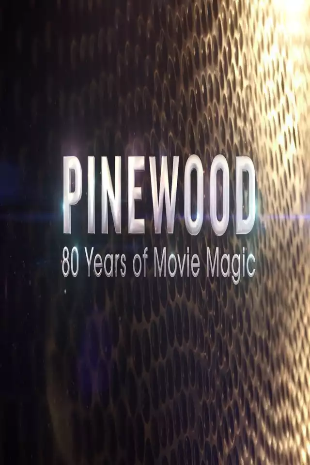 movie vertical poster fallback