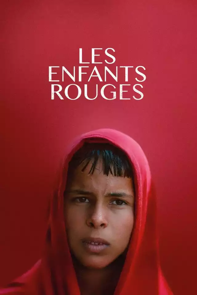 movie vertical poster fallback