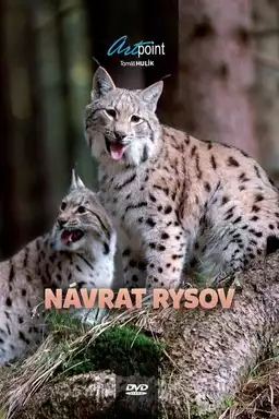 Návrat rysov