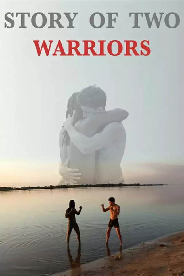 movie vertical poster fallback