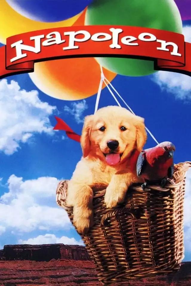 movie vertical poster fallback