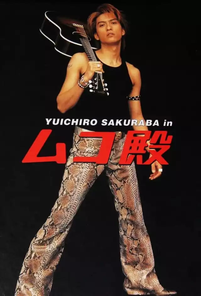 movie vertical poster fallback