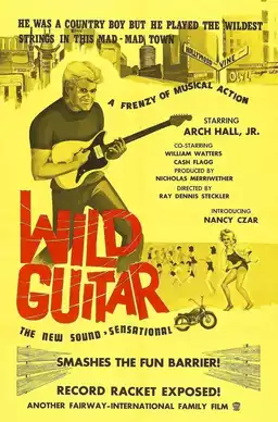 Wild Guitar