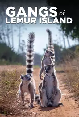 Gangs of Lemur Island