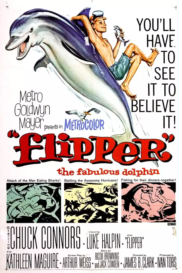 movie vertical poster fallback