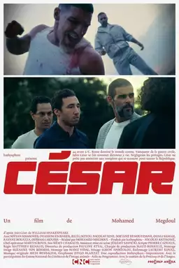 César