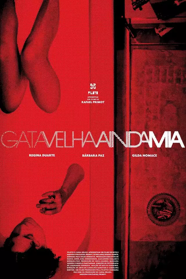 movie vertical poster fallback