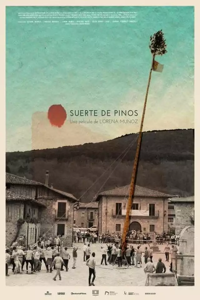 movie vertical poster fallback