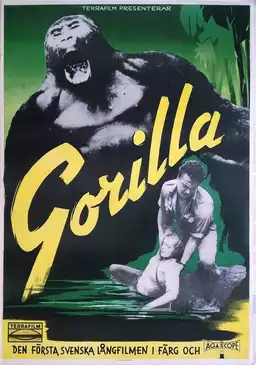 Gorilla