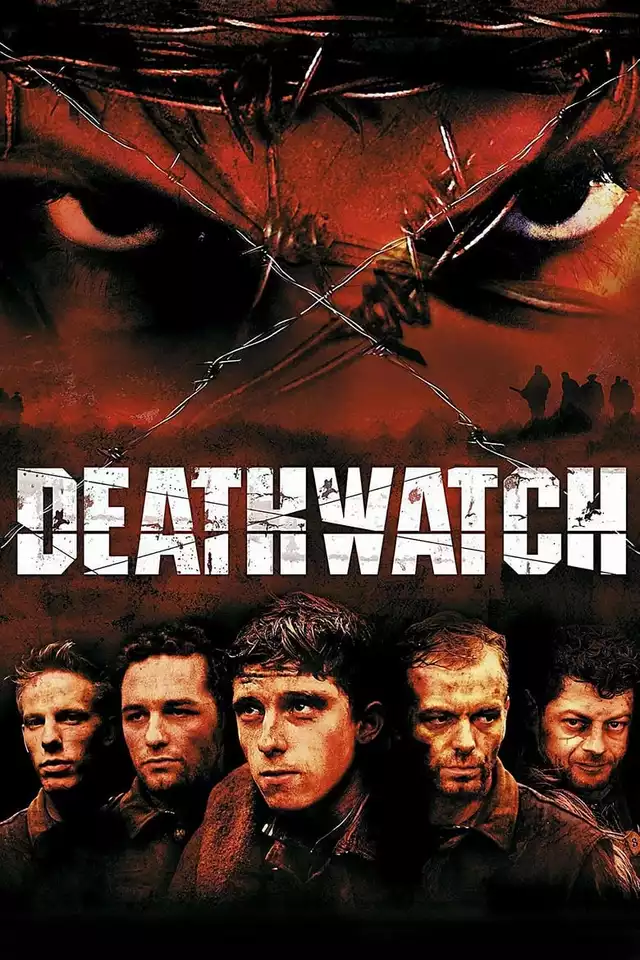 movie vertical poster fallback