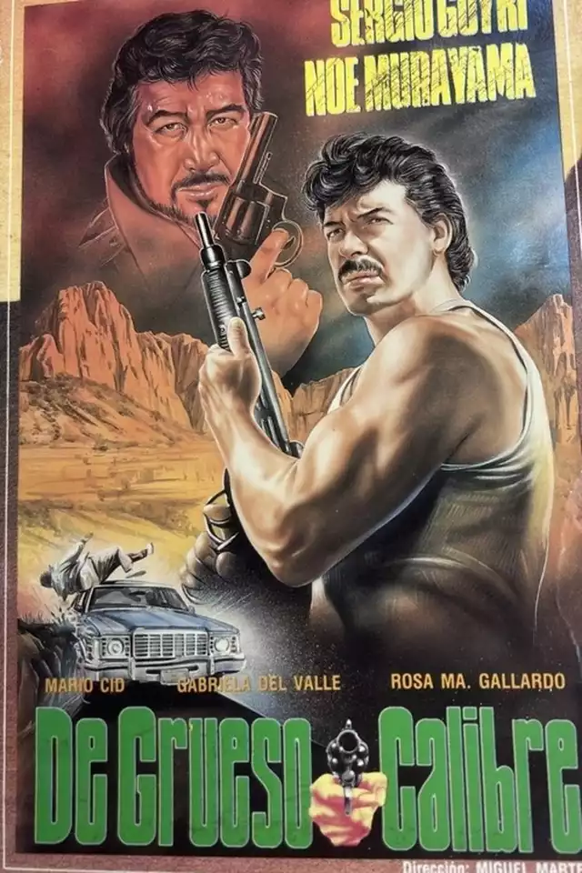 movie vertical poster fallback