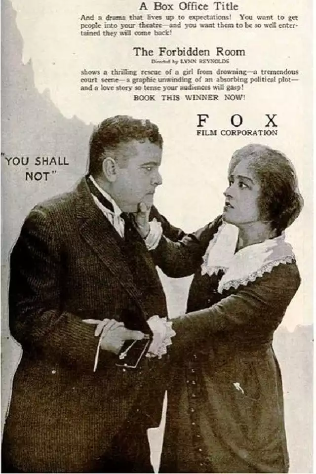 movie vertical poster fallback