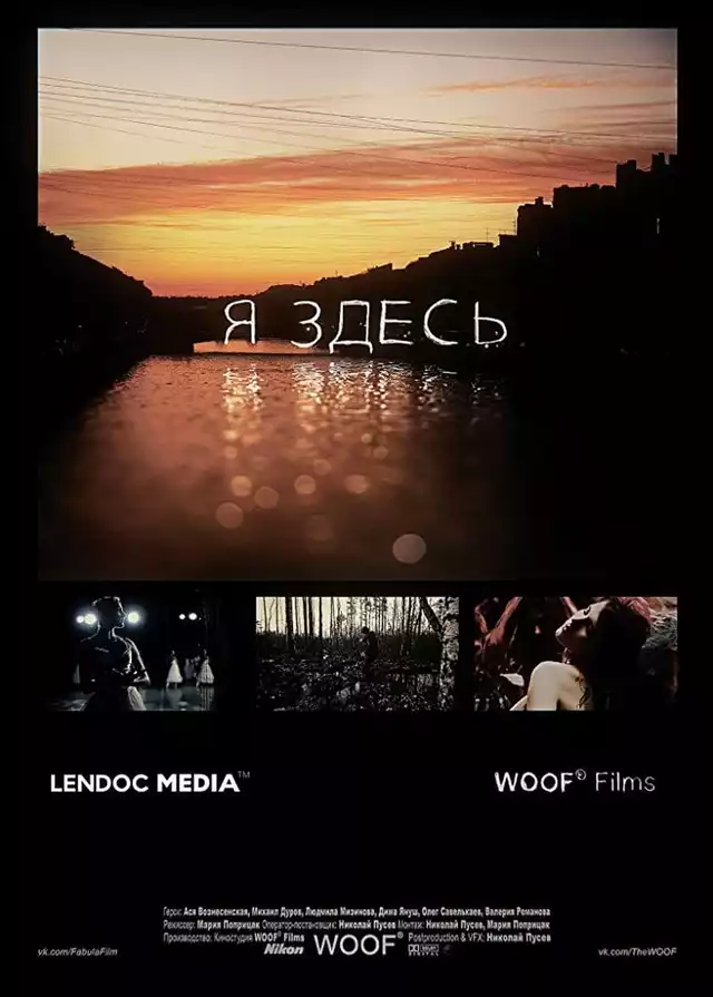 movie vertical poster fallback