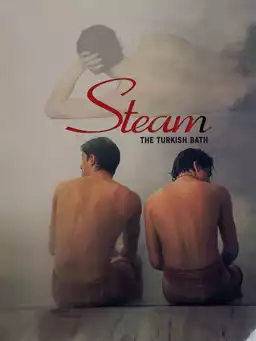 Steam: The Turkish Bath