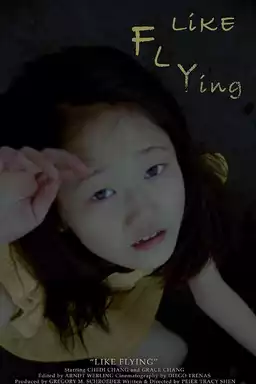 Like Flying
