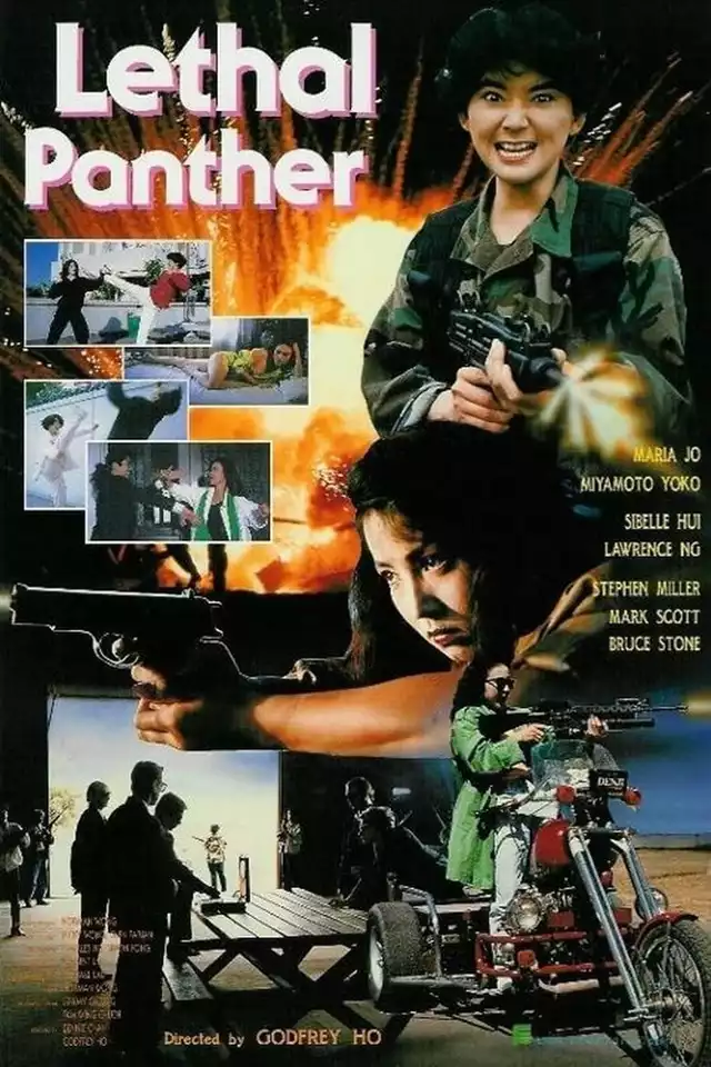 movie vertical poster fallback