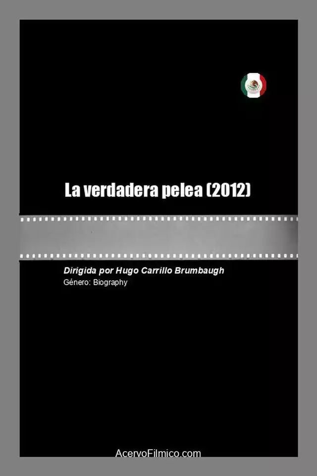 movie vertical poster fallback