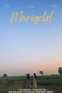 Marigold