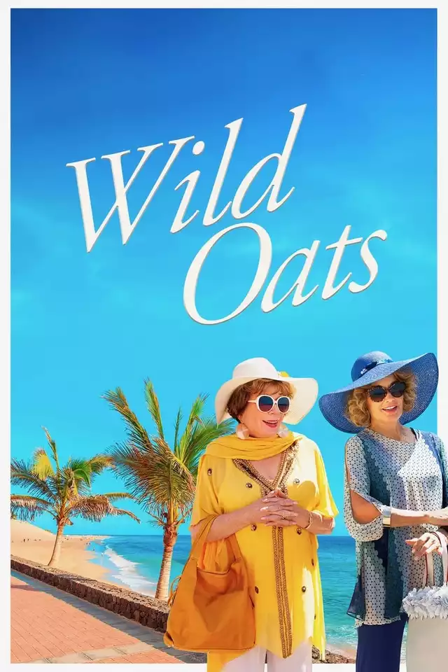 movie vertical poster fallback