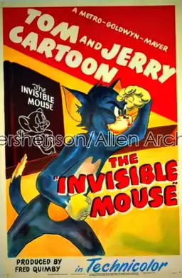 The Invisible Mouse