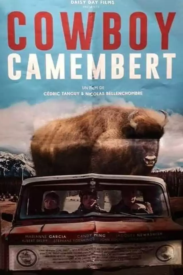 movie vertical poster fallback
