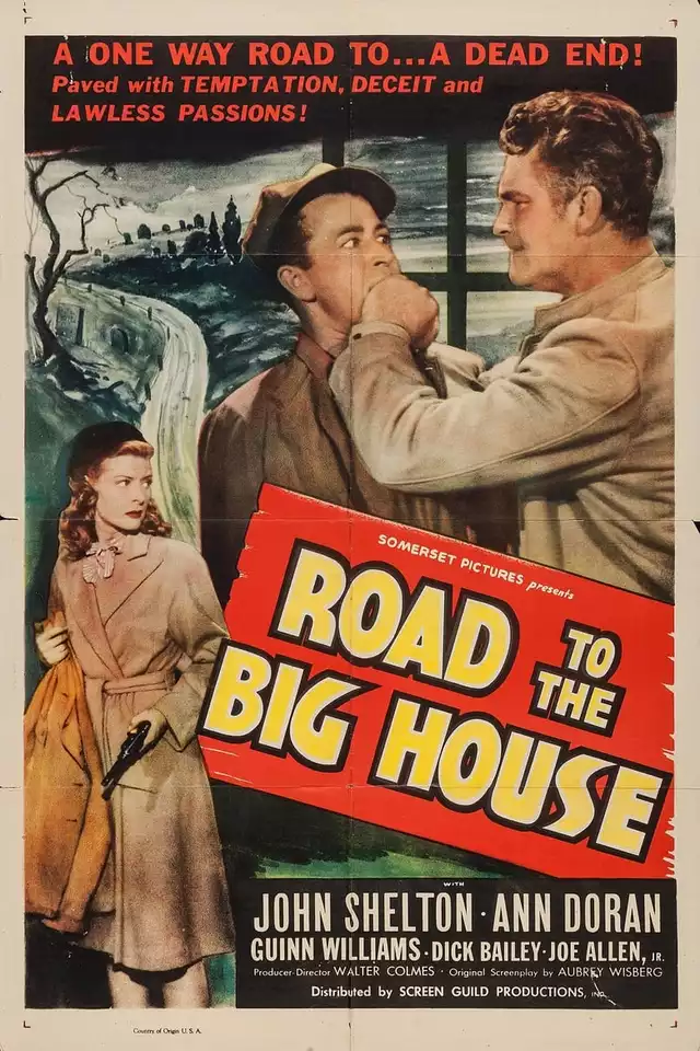 movie vertical poster fallback