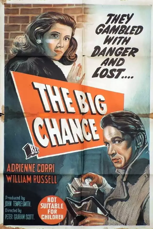 movie vertical poster fallback