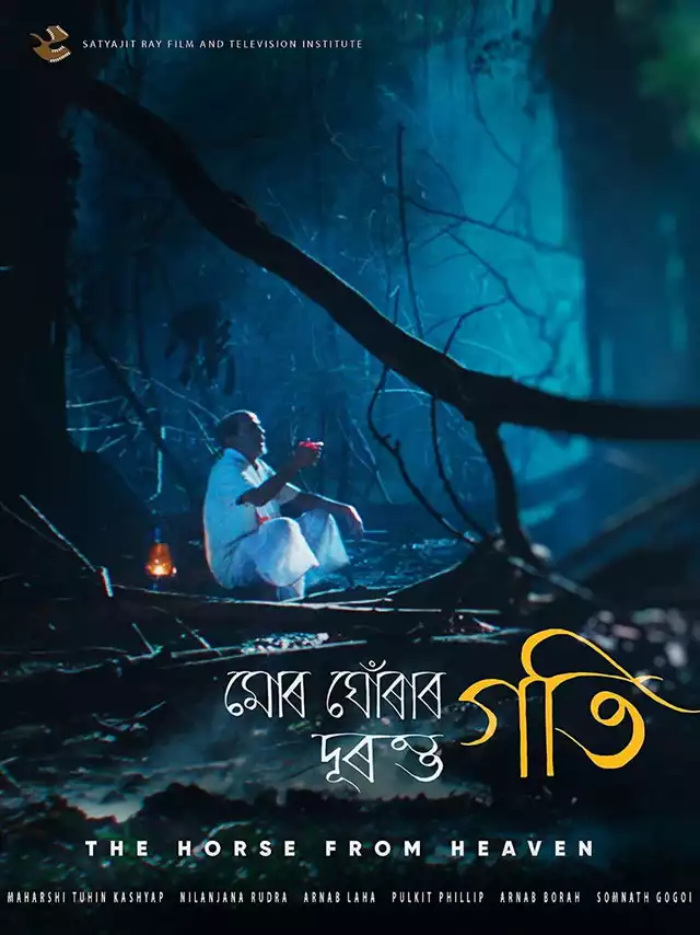 movie vertical poster fallback