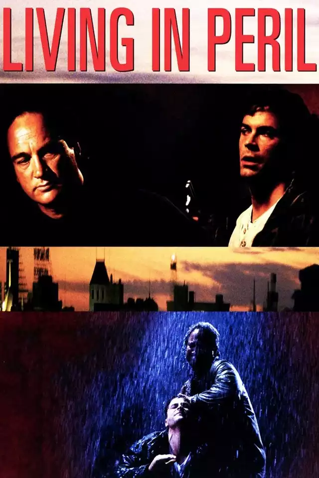 movie vertical poster fallback