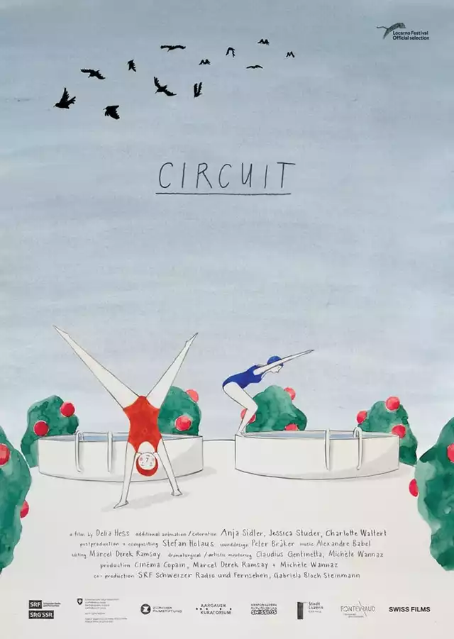 movie vertical poster fallback