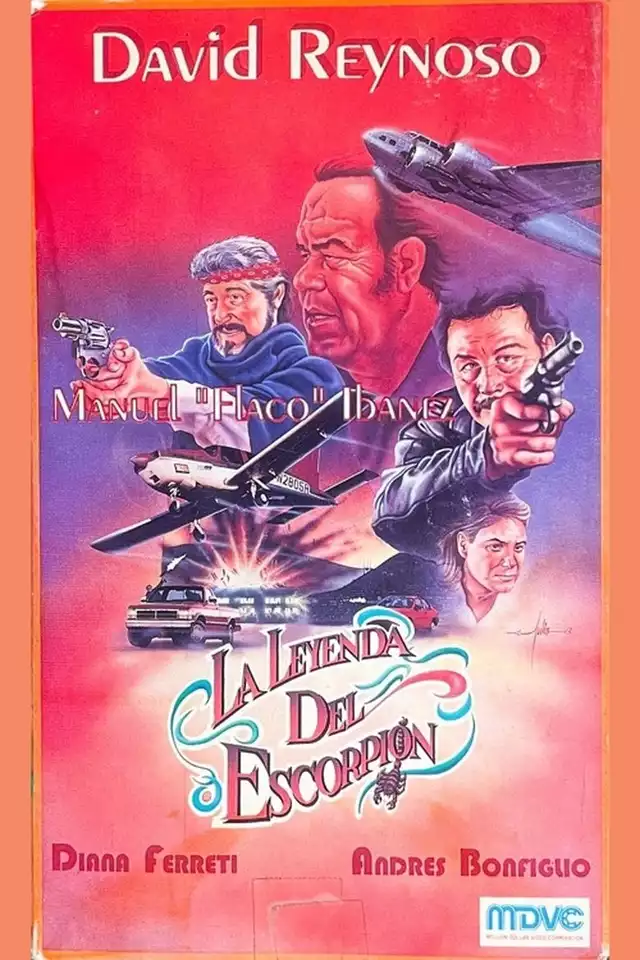 movie vertical poster fallback