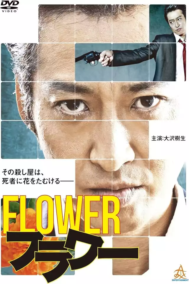 movie vertical poster fallback