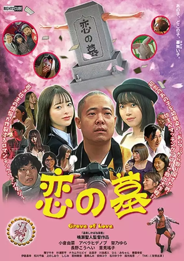 movie vertical poster fallback