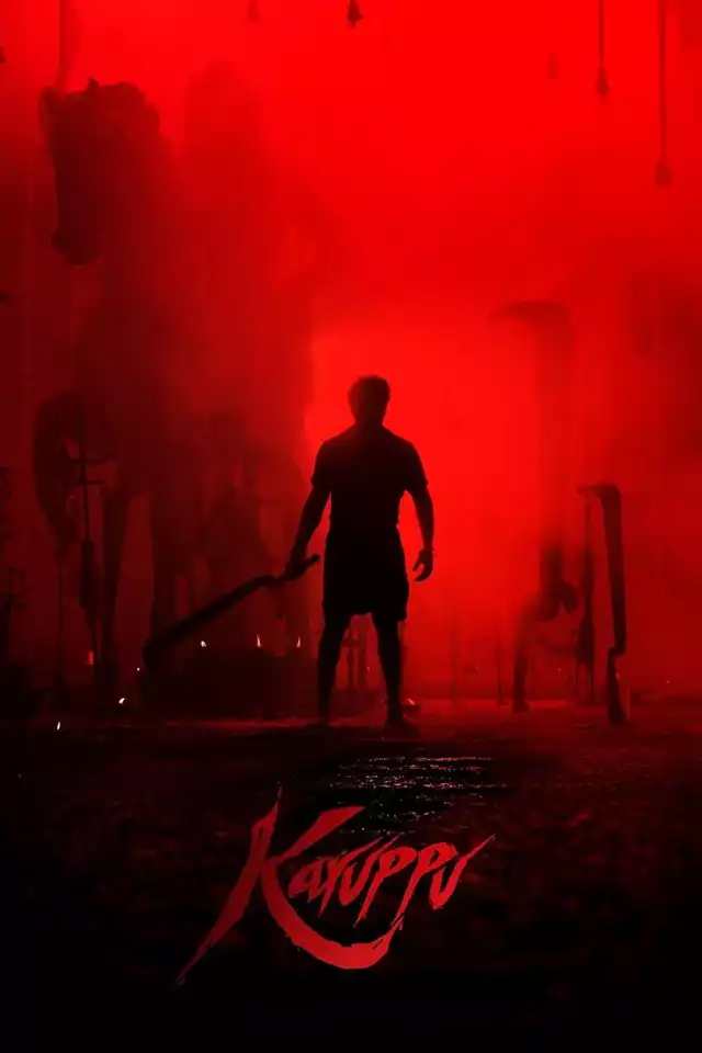 movie vertical poster fallback