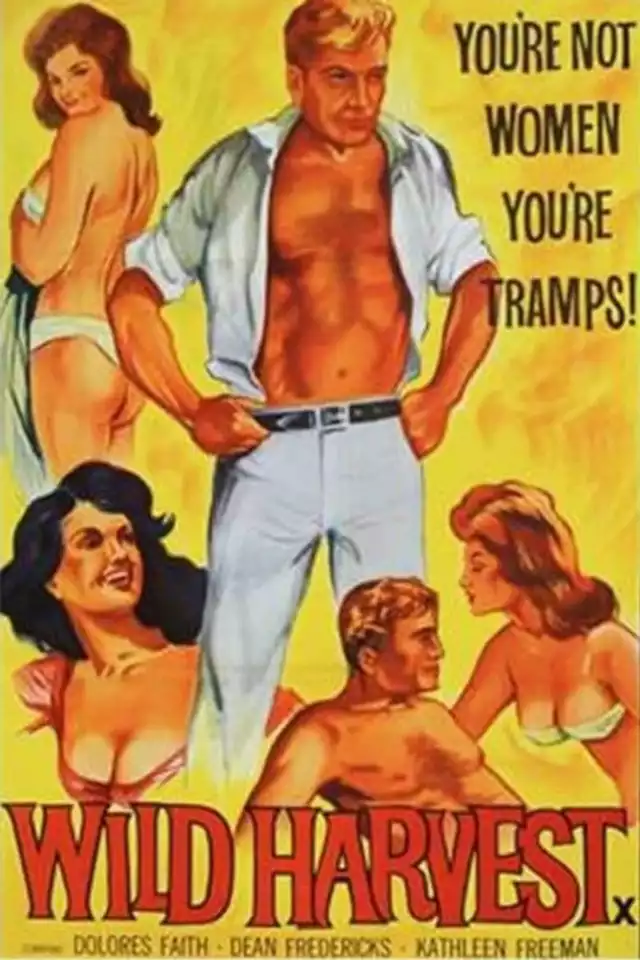 movie vertical poster fallback