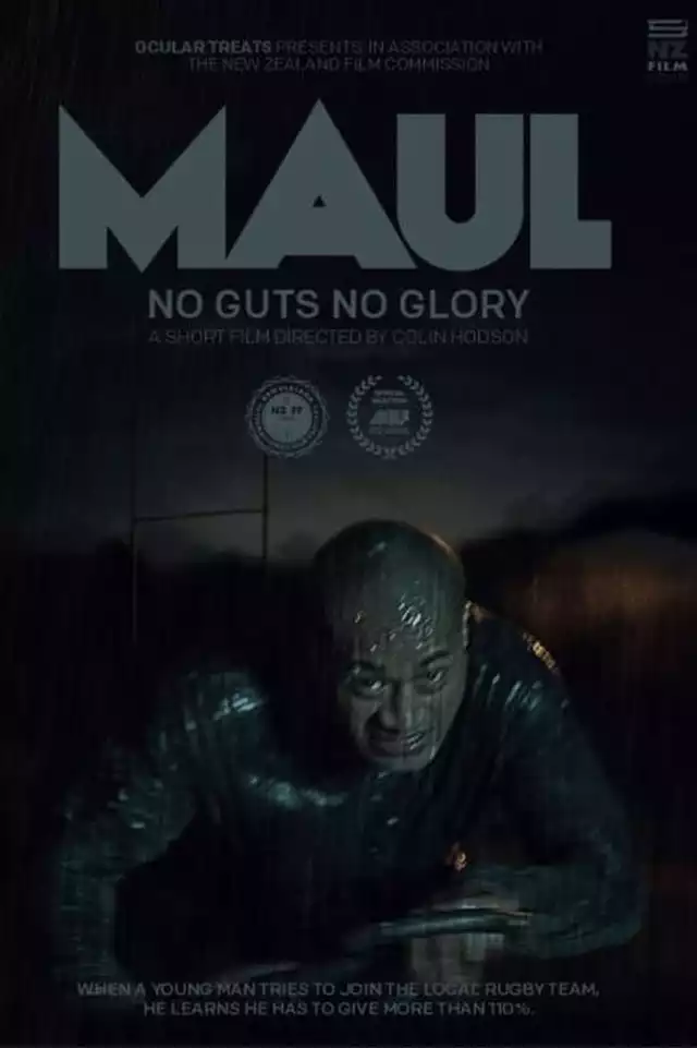 movie vertical poster fallback