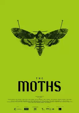 The Moths