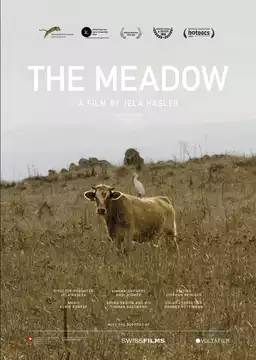 The Meadow