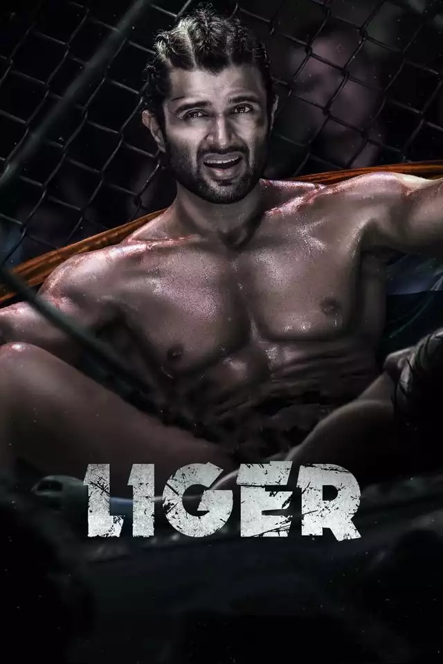 movie vertical poster fallback