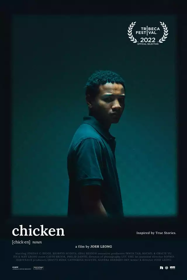 movie vertical poster fallback