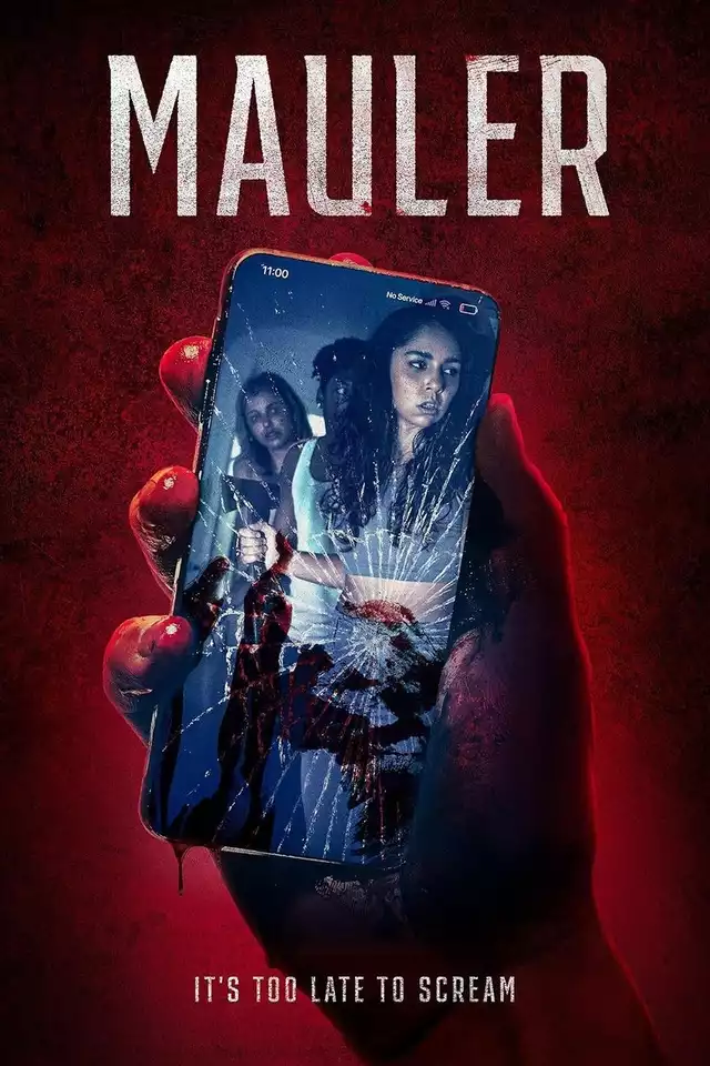 movie vertical poster fallback