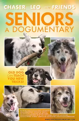 Seniors A Dogumentary