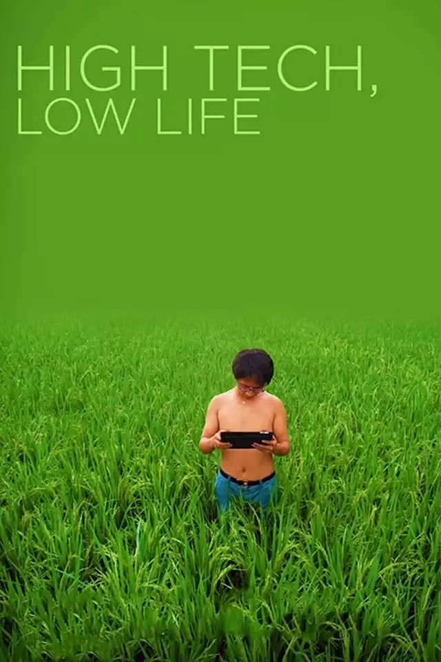 movie vertical poster fallback