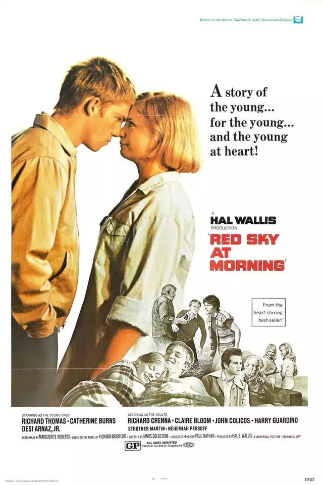movie vertical poster fallback