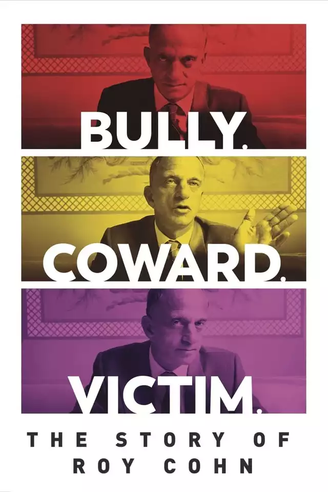 movie vertical poster fallback